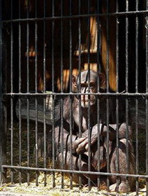 зоопарк berlin zoological garden