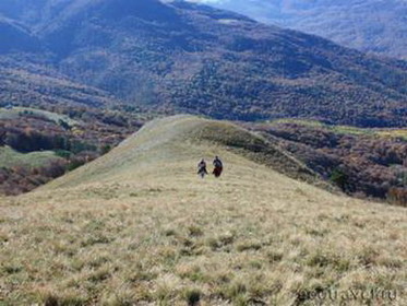 ленинградский зоопарк. россия