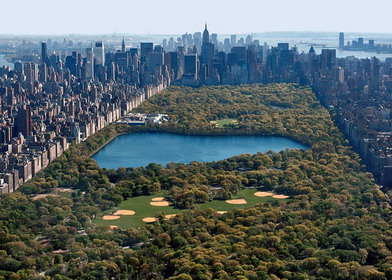 central park. нью-йорк