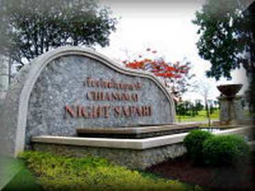 chiang mai night safari. тайланд