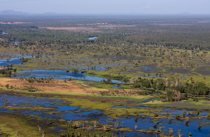 природа и животные kakadu national park