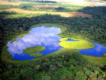 национальный парк пантанал
