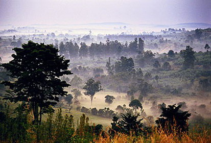 национальный парк конго – вирунга