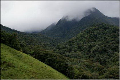 ла амистад национальный парк на территории коста-рики и панамы