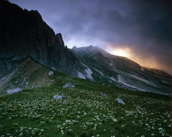 кавказский заповедник