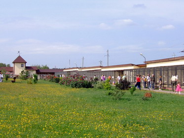 поездка в парк птиц